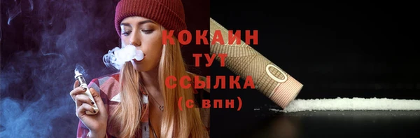 мяу мяу мука Аркадак
